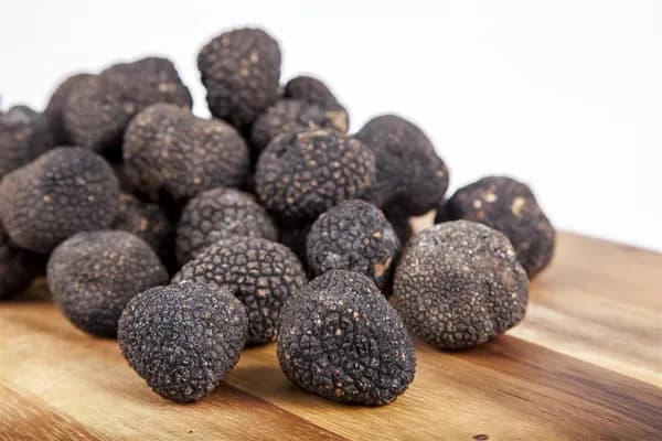Black Truffles